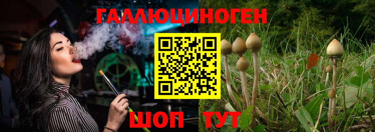 Псилоцибиновые грибы Magic Shrooms  Вход с VPN  Пыть-Ях  Псилоцибиновые грибы прущие грибы 