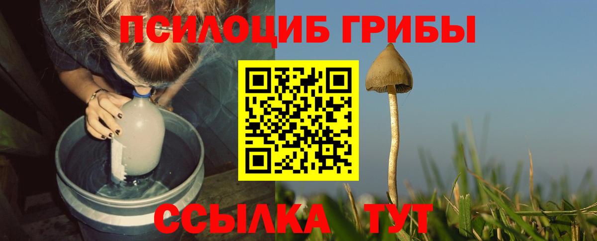 Псилоцибиновые грибы мицелий Пыть-Ях